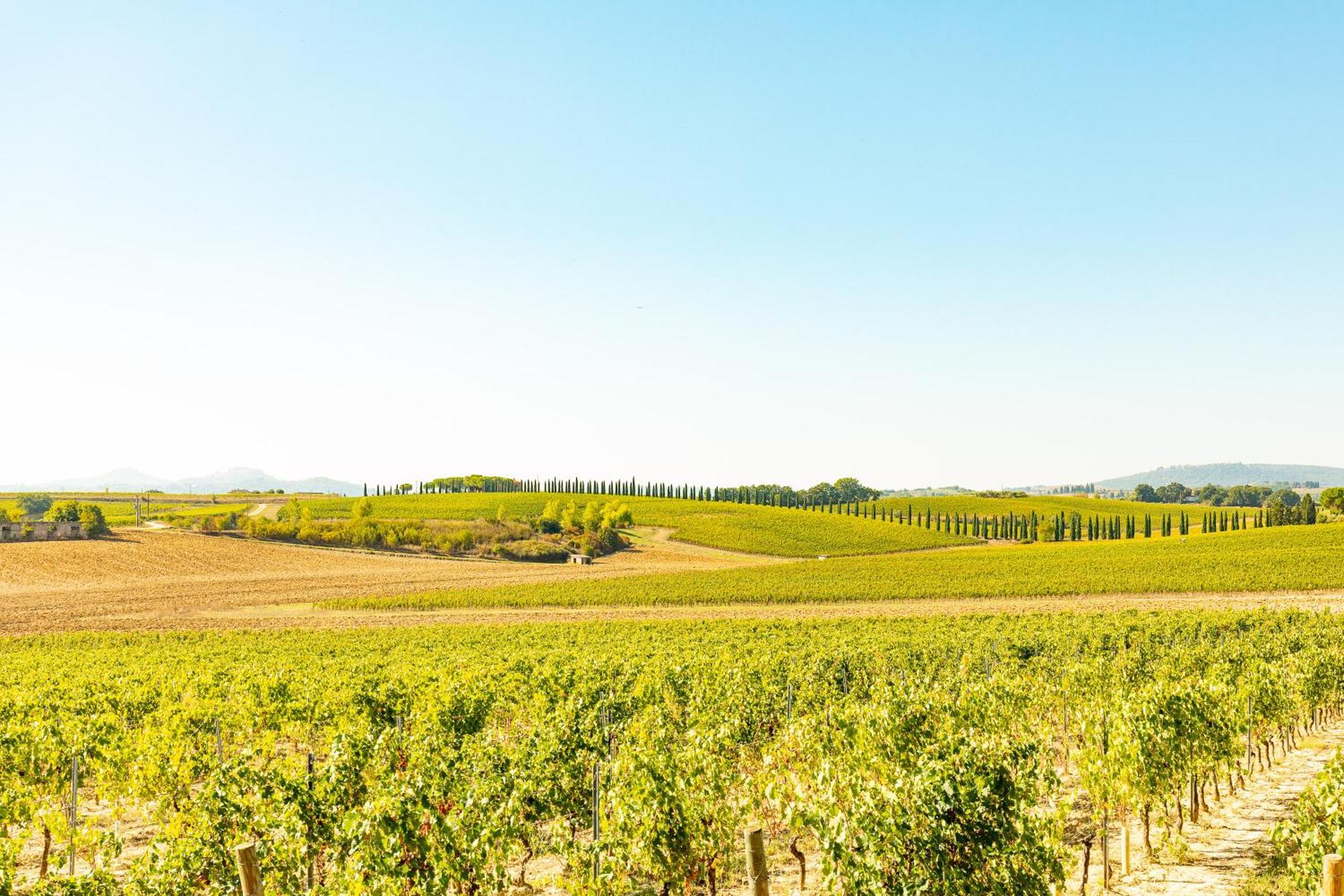 Appartamento Greppino Montepulciano Exterior photo