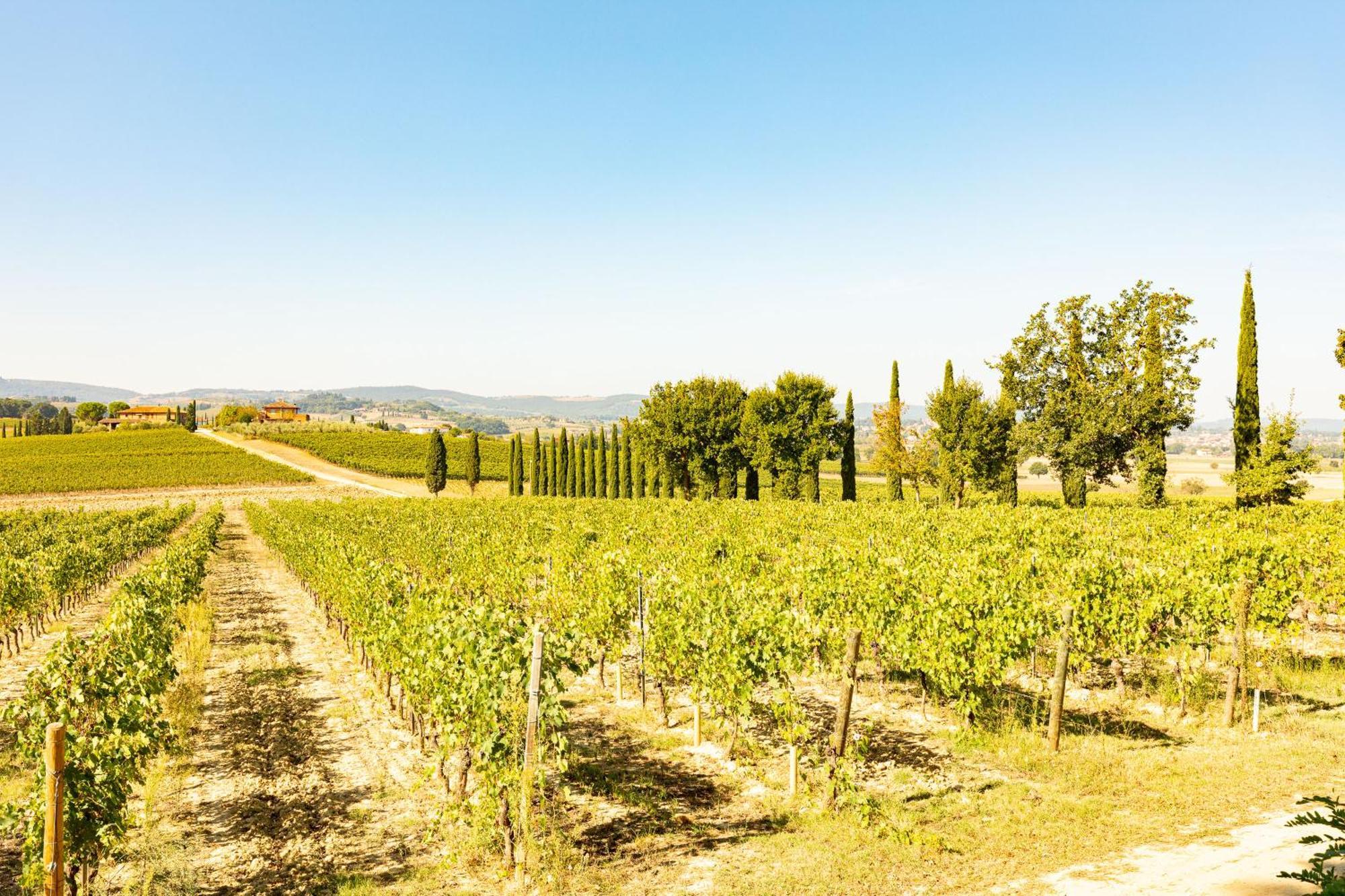 Appartamento Greppino Montepulciano Exterior photo